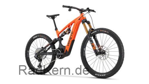 Whyte E-180 RSX technische daten